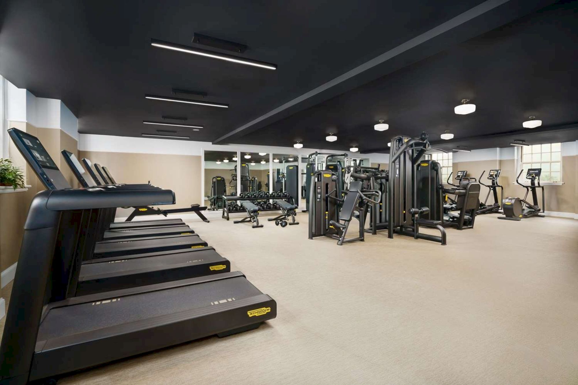 A spacious gym with treadmills in the foreground and various weight machines and cardio equipment in the background, bright lighting, and neutral tones.
