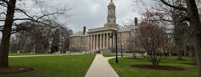 A wide path leading to a domed building, flanked by bare trees and grassy lawns on a cloudy day.